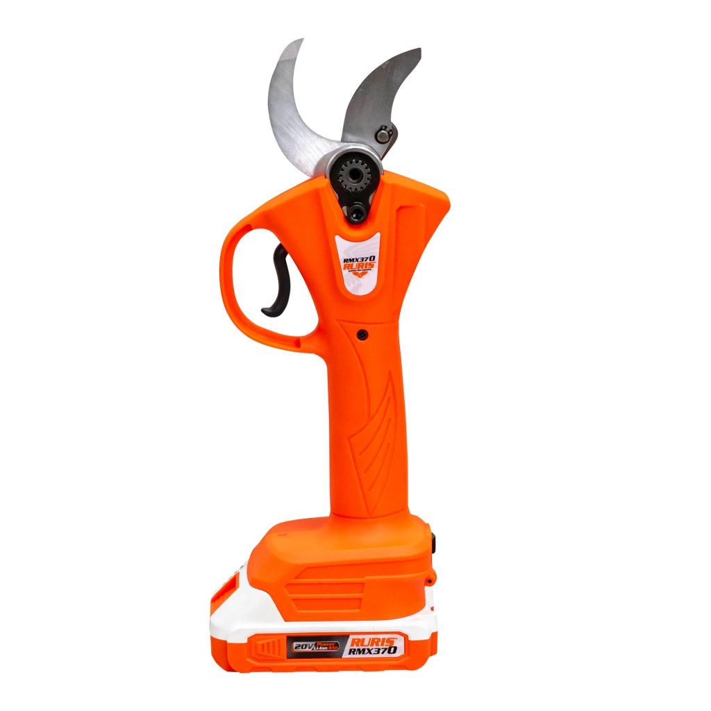 RURIS 150457