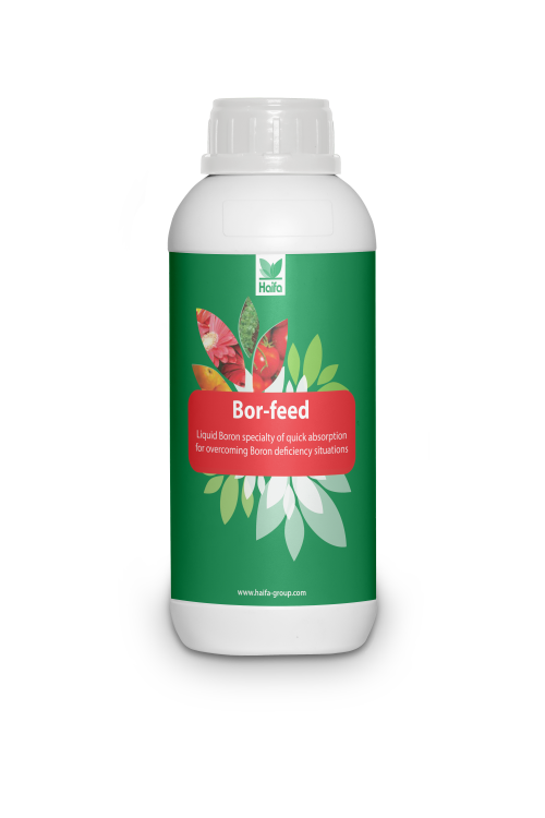 DJUBRIVO HAIFA BOR FEED 11%B-1 L
