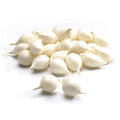SJEMENSKI LUK SREBRENJAK-1 KG