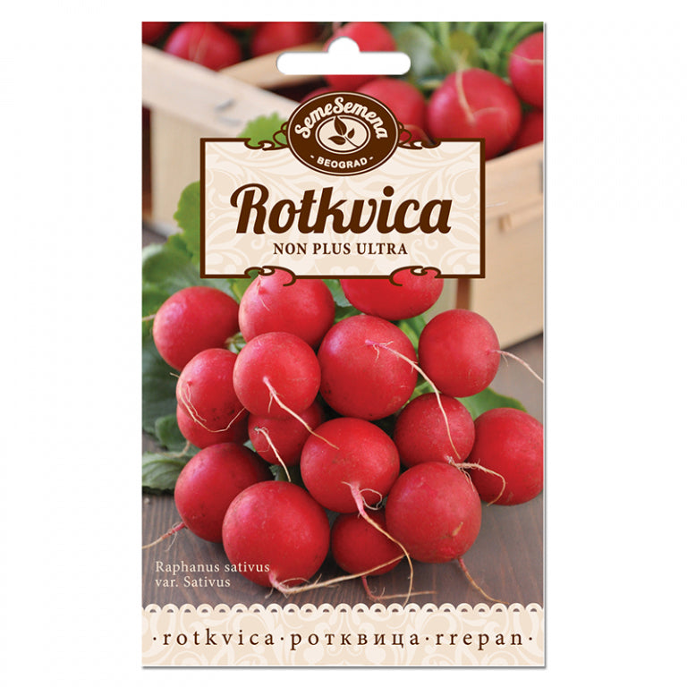 SJEME POVRCA SEME SEMENA ROTKVICA NON PLUS ULTRA