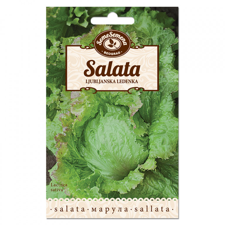 SJEME POVRCA SEME SEMENA SALATA LJUBLJANSKA LEDENKA