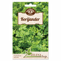 SJEME AROMATICNOG BILJA SEME SEMENA KORIJANDER