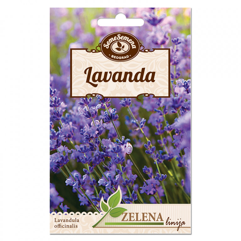 SJEME AROMATICNOG BILJA SEME SEMENA LAVANDA