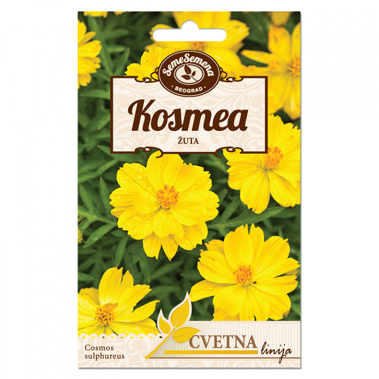 SJEME CVIJECA SEME SEMENA KOSMEA ZUTA