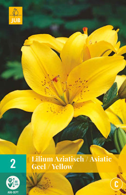 LUKOVICA LILIUM YELLOW POWER 2KOM