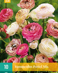 LUKOVICA RANUNCULUS PASTEL MIX VJ 10KOM