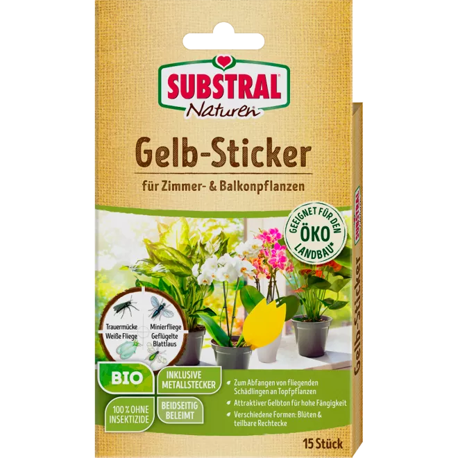 LEPLJIVE TRAKE NATUREN